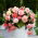 Begonia ricadente - Splendide Flamenca - 2 pz