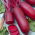 Rode Bieten Cilinder - 500 g - 