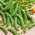 Broad bean and pea seeds - selection of 4 varieties