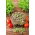 Microgreens - Mizuna - Red - 100 g - Deeply Vibrant, Perfect Flavour - Fresh Seeds