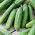 Field cucumber seeds - selection of 4 varieties