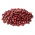 Semillas para brotes - Judía Azuki - 250 g - Brotes dulces y con sabor a nuez - Semillas frescas