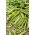 Kacang ladang "Cud Kelvedonu (Keajaiban Kelvedon)" - 500 g - 