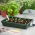 Mini seră încălzită cu termostat - ideală pentru plante germinante - 19 x 38 x 24 cm - 