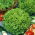 Leaf Lettuce - Lollo - Crispy & Curly Leaves for Healthy Salads! - Fresh Seeds