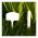 Plante etiketter, plader - 30 stk blanding + blyant - 