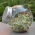 Jar sprouter - 400 ml sprout-growing container - 6 pcs + FREE GIFT