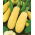 Zucchini - Złoty Cepelin - Cucurbita pepo - Leuchtendes Gelb, intensiver Geschmack - Samen