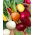 Peet - erinevad värvid - seemnelint (Beta vulgaris)