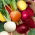 Peet - erinevad värvid - seemnelint (Beta vulgaris)