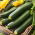 BIO Zucchini - Black Beauty - Hervorragend zum Grillen, Füllen, Backen oder für Rohkost - Samen