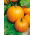 Pumpkin - Connecticut Field - Biggest, most traditional autumn harvest - Fresh Seeds