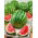 Watermelon - Crimson Giant F1 - Sweetest, most refreshing bite - Fresh Seeds