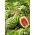 BIO Anguria - Crimson Sweet - Frutti grandi e rotondi di 5-8 kg - Semi Freschi