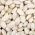 Haricot nain - Igolomska - à grains secs - 500 g - Graines