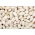 Haricot nain - Igolomska - à grains secs - 500 g - Graines
