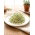 Sprouting seeds with a small sprouter - Onion