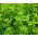 Majoran - Origanum majorana - Perfekt für Suppen und Fleischgerichte - Samen
