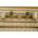 Pots de tourbe ronds ø6 cm - 100 pièces - 