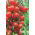 Tomato - Malinowy Kapturek - Abundant Clusters, Up to 600 Fruits Per Plant! - Fresh Seeds