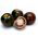 Cseresznye Paradicsom - Black cherry - fekete - 60 magok - Lycopersicon esculentum Mill