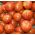 Tomato - Tigerella - Bold Striped Beauty, Eye-Catching Fruit - Fresh Seeds