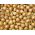 Bawang Spring Stuttgarter - 0,5 kg - 
