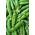 Wrinkled Pea Gloriosa seeds - Pisum sativum