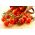 Tomate - Idyll - Tomates cocktail sucrées, pleines de saveur ! - Graines fraîches