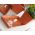 Saucer for outdoor flower pot Agro - 45 cm - Anthracite