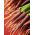 Carote - Deep purple - 425 semi - Daucus carota ssp. sativus