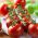 Tomate - Idyll - Tomates cocktail sucrées, pleines de saveur ! - Graines fraîches