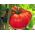 Tomate - Malinowy Olbrzym - Tomates dodues et juteuses, géantes pleines de saveur - Graines fraîches