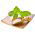 Stevia semená - Stevia rebaudiana - 30 semien