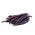Buschbohne - Amethyst Samen -Phaseolus vulgaris -  