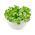 Corn Salad, Mache seeds - Valerianella locusta - 1700 seeds