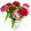 Sweet William frön - Dianthus barbatus - 900 frön