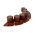Palisade taman - rendah - 4,05 m - Coklat - 