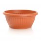 屋外植木鉢、低-テラ-25 cm-テラコッタ - 