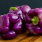 Spanskpeppar - Oda - söt - 80 frön - Capsicum L.