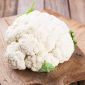 Květák "Early Snowball X" - bílý - 270 semen - Brassica oleracea L. var.botrytis L. - semena