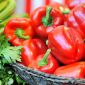 Перец - Robertina - сладкий - 48 семена - Capsicum L.