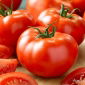 Tomato - Tolek - Easy-Peel, Perfect for Juicing - Fresh Seeds