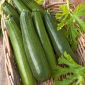 Zucchini "Astra Polka" - TREATED SEEDS