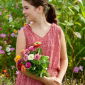 Happy Garden - "Zinnias, die Gartenhostessen"; Dahlienblumige Zinnie - Sortenmischung; - 108 Samen - 
