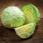 Wittekool – Diethmarscher - wit - 480 zaden - Brassica oleracea convar. capitata var. alba