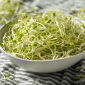 Mix de Sprout Francês -  - sementes