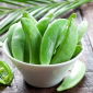 Sugar snap pea "Hrabia" - polong besar dan berdaging - Pisum sativum - biji
