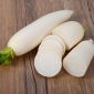 Rabanete - Agata - 300 sementes - Raphanus sativus