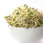 Fenugreek - sprouting frön - 